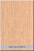 ameriski_rdeci_hrast